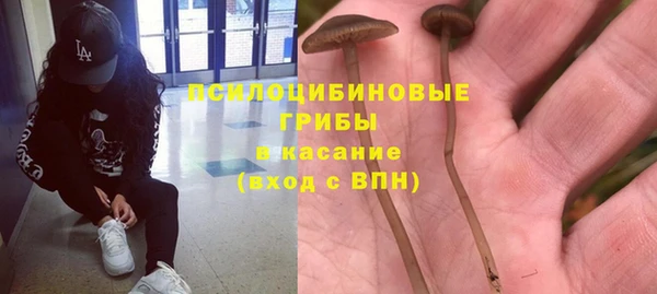 альфа пвп Армянск