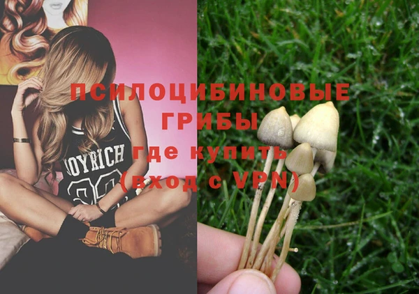 винт Абаза