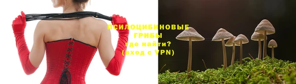 винт Абаза