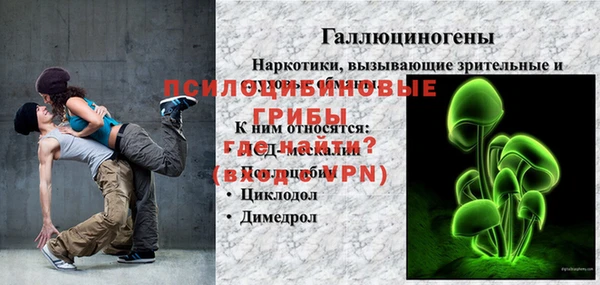 винт Абаза