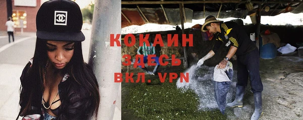 винт Абаза